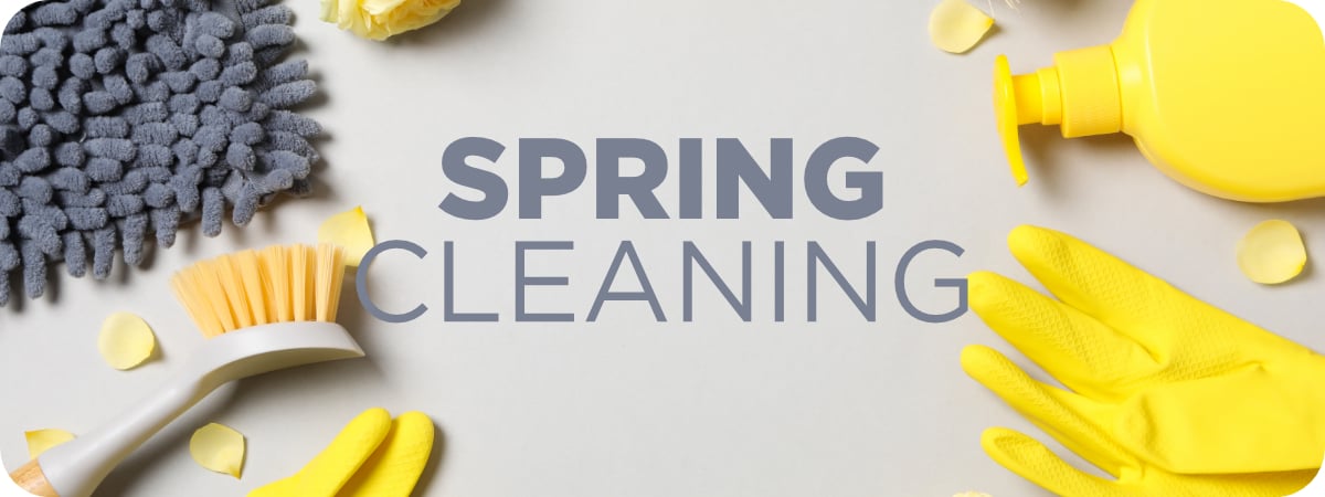 SpringCleaning SpringCleaning